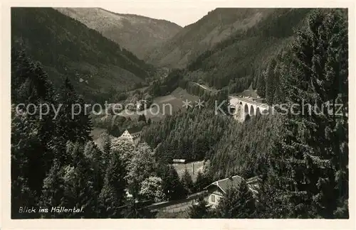 AK / Ansichtskarte Hoellental_Schwarzwald mit Eisenbahnviadukt Hoellental_Schwarzwald