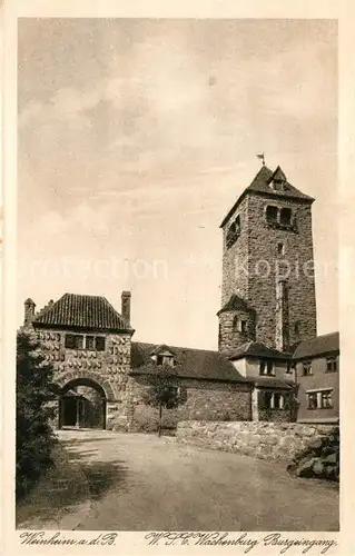 AK / Ansichtskarte Viernheim Wachenburg Burgeingang Viernheim