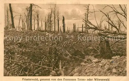 AK / Ansichtskarte Priesterwald_Kriegsschauplatz sogenannt Toten oder Witwenwald Priesterwald