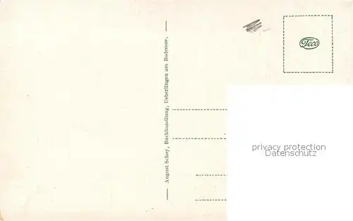 AK / Ansichtskarte ueberlingen_Bodensee Panorama ueberlingen Bodensee