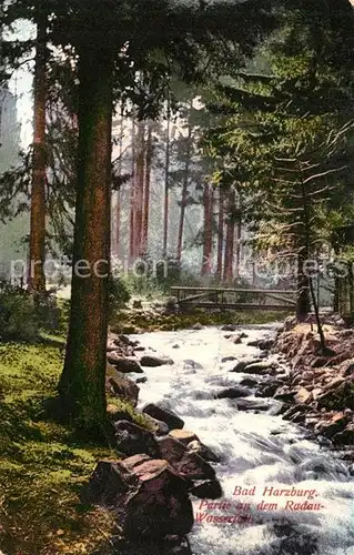 AK / Ansichtskarte Bad_Harzburg Partie am Radau Wasserfall Bad_Harzburg