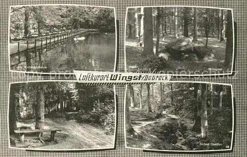 AK / Ansichtskarte Wingst Waldschloesschen Dobrock Steingrab Waldweg Sieben Quellen Wingst