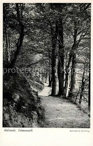 AK / Ansichtskarte Walsrode_Lueneburger_Heide Eckernworth Walsrode_Lueneburger_Heide