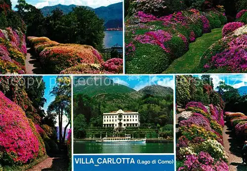 AK / Ansichtskarte Lago_di_Como Villa Carlotta Park Blumenpracht Lago_di_Como