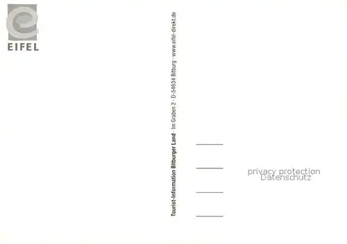 AK / Ansichtskarte Bitburg Denkm?ler Stadtansichten Bitburg