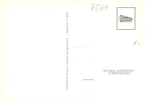 AK / Ansichtskarte Forbach_Baden Panoramen Parkanlagen Forbach_Baden