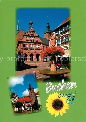 AK / Ansichtskarte Buchen_Baden Rathaus Brunnen Buchen_Baden