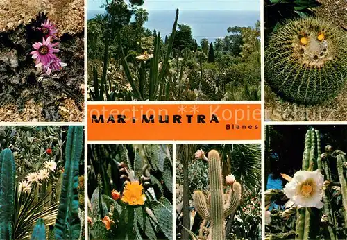 AK / Ansichtskarte Blanes Fundacion Carlos Faust Jardin Botanico Mar i Murtra Cactaceas mexicanas Blanes