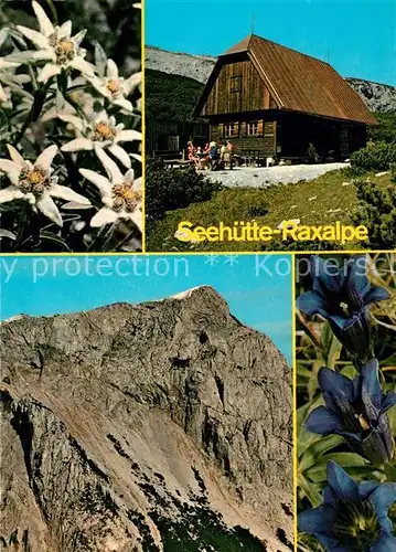 AK / Ansichtskarte Rax Seehuette Raxalpe Rax