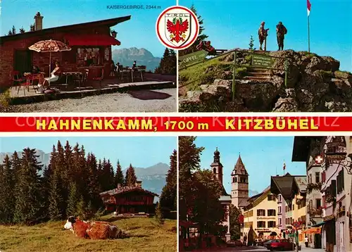 AK / Ansichtskarte Kitzbuehel_Tirol Hahnekamm Kuh Kitzbuehel Tirol