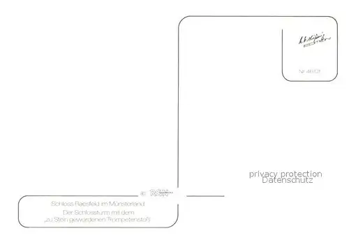 AK / Ansichtskarte Raesfeld Schloss  Raesfeld