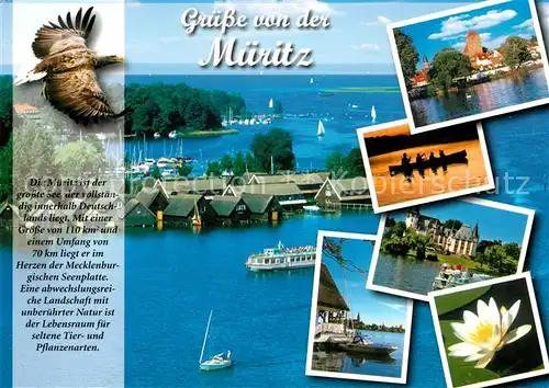 AK / Ansichtskarte Mueritz  Mueritz