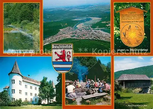 AK / Ansichtskarte Immendingen Fliegeraufnahme Donauverisnkung Oberes Schloss Archenbruecke Immendingen