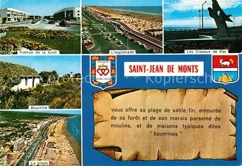 AK / Ansichtskarte Saint_Jean_de_Monts Oiseaux de Mer Esplanade Avenue de la foret Bourrine Saint_Jean_de_Monts