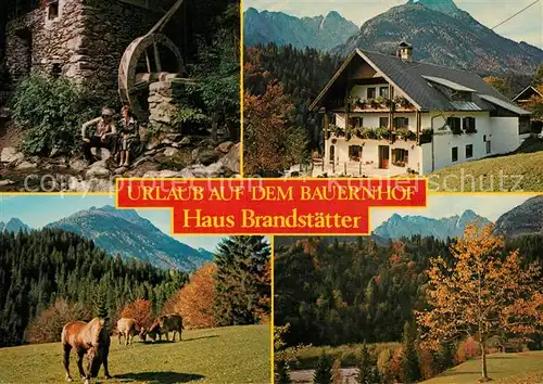 AK / Ansichtskarte Passau Urlaub auf dem Bauernhof Haus Brandstaetter Pferd Kuehe Wassermuehle Passau