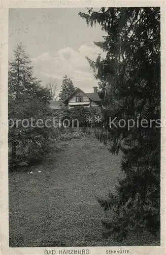 AK / Ansichtskarte Bad_Harzburg Sennhuette Bad_Harzburg