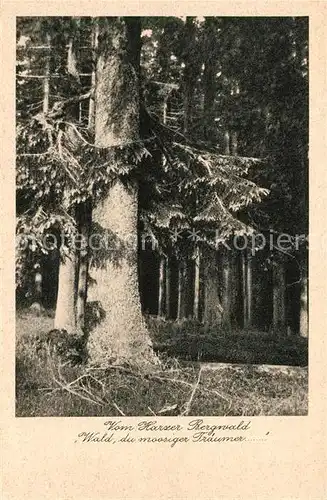 AK / Ansichtskarte Harz_Region Partie im Harzer Bergwald Das Dukantenmaennchen Harz Region