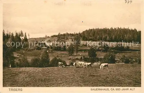 AK / Ansichtskarte Triberg_Schwarzwald Bauernhaus Triberg Schwarzwald