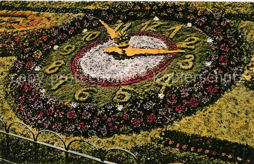 AK / Ansichtskarte Mannheim Blumenuhr im Friedrichspark Mannheim