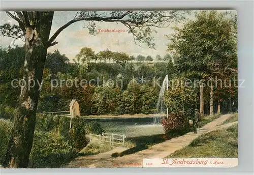 AK / Ansichtskarte St_Andreasberg_Harz Teichanlagen St_Andreasberg_Harz