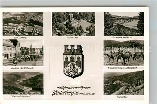 AK / Ansichtskarte Winterberg_Hochsauerland Astenturm Bebhaus Auftrieb der Kuhherde Wildfuetterung Edeborntal Nuhnetal Winterberg_Hochsauerland