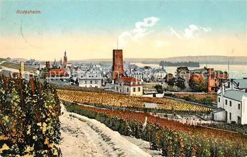 AK / Ansichtskarte Ruedesheim_Rhein Panorama Ruedesheim Rhein