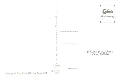 AK / Ansichtskarte Blumenthal_Schleiden Fliegeraufnahme Blumenthal_Schleiden