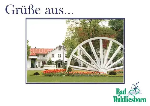 AK / Ansichtskarte Bad_Waldliesborn Seilscheibe Kurpark Bad_Waldliesborn