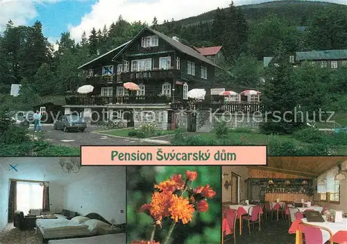 AK / Ansichtskarte Spindleruv_Mlyn_Spindlermuehle Pension Svycarsky dum Spindleruv_Mlyn