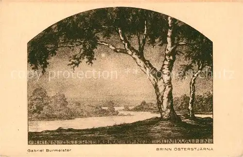 AK / Ansichtskarte Kuenstlerkarte Gabriel Burmeister Brinn oesterstjaerna  Kuenstlerkarte