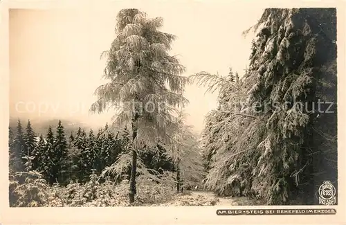 AK / Ansichtskarte Foto_Hahn_Nr. 6183 Bier Steig Rehefeld Erzgebirge  Foto_Hahn_Nr.