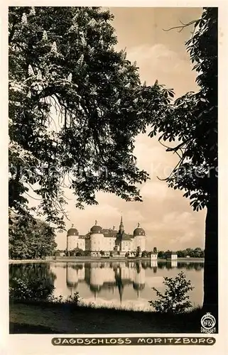 AK / Ansichtskarte Foto_Hahn_Nr. 8783 Jagdschloss Moritzburg  Foto_Hahn_Nr.