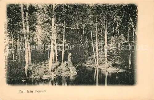 AK / Ansichtskarte Forsvik Waldpartie Forsvik