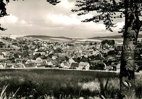 AK / Ansichtskarte Heubach_Odenwald  Gasthof Zum Loewen Heubach Odenwald 