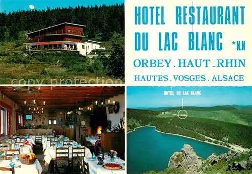 AK / Ansichtskarte Orbey_Haut_Rhin Hotel Du Lac Blanc Orbey_Haut_Rhin