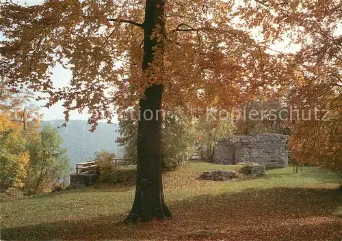 AK / Ansichtskarte Ditzenbach_Bad Ruine Hiltenburg Ditzenbach_Bad