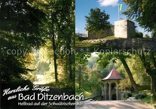 AK / Ansichtskarte Ditzenbach_Bad Burgruine Ditzenbach_Bad