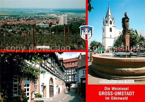 AK / Ansichtskarte Gross Umstadt Schloss Passage Marktplatzbrunnen Kirche Gross Umstadt