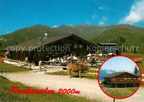 AK / Ansichtskarte Mayrhofen_Zillertal Penkenalm Kuehe Mayrhofen_Zillertal