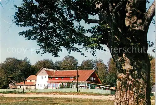 AK / Ansichtskarte Brasov Cabana Vinatorul Brasov