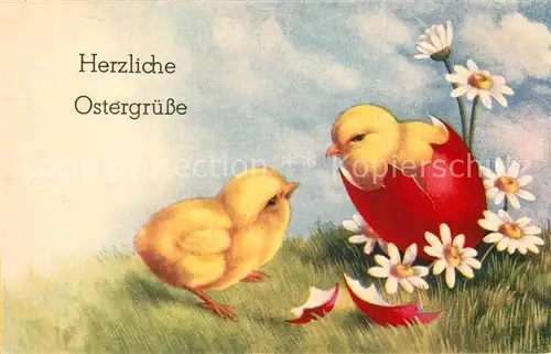 AK / Ansichtskarte Ostern_Easter_Paques Kueken Ei Gaensebluemchen  Ostern_Easter_Paques