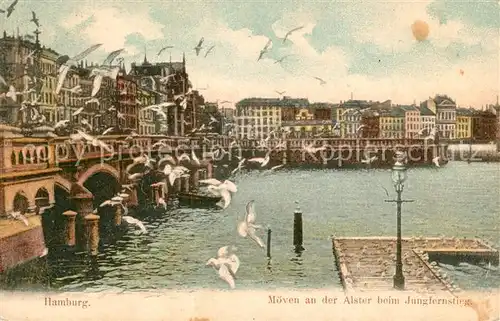AK / Ansichtskarte Hamburg Moeven an der Alster beim Jungfernstieg Hamburg