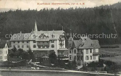AK / Ansichtskarte Herrenwies Kurhaus Herrenwies Herrenwies