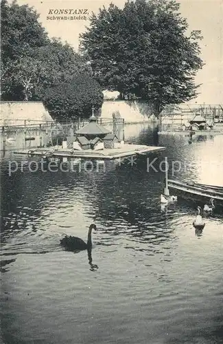 AK / Ansichtskarte Konstanz_Bodensee Schwanenteich Konstanz_Bodensee