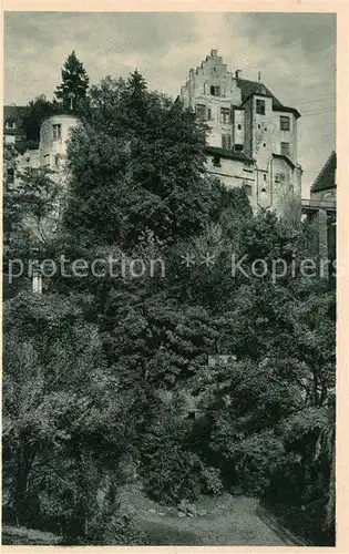 AK / Ansichtskarte Meersburg_Bodensee Altes Schloss vom Burgweg Meersburg Bodensee