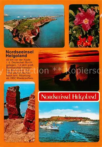 AK / Ansichtskarte Helgoland Fliegeraufnahme  Helgoland
