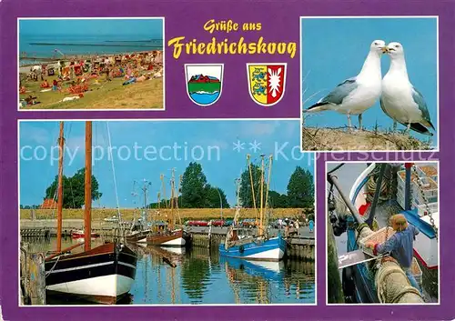 AK / Ansichtskarte Friedrichskoog_Nordseebad Hafen Strand Moewen Friedrichskoog_Nordseebad