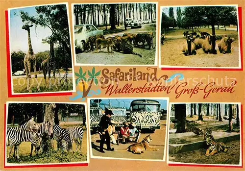 AK / Ansichtskarte Gross Gerau Safariland Gross Gerau