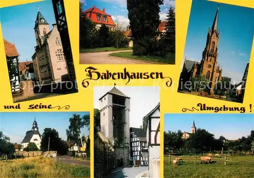 AK / Ansichtskarte Babenhausen_Hessen Harpertshausen Rathaus Kirchen Jagdschloss Langstadt Pfarrkirche  Babenhausen Hessen