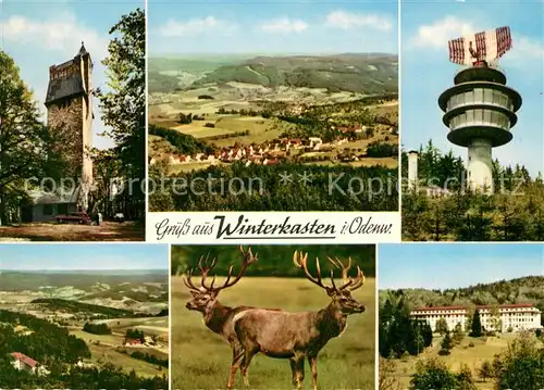 AK / Ansichtskarte Winterkasten_Lindenfels Aussichtsturm Panorama Sendeturm Hirsche  Winterkasten_Lindenfels